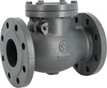 Check valve - GG25 Cast Iron body - Brass - DN200 - Flanges GN16 - PN16 - Hor/ver assembly - 120°C
