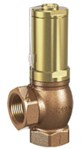 Pressure Relief valve - Bronze body - PTFE - G1" - PN20 - 9 bar - (+)225°C