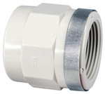 AdaptSocket RP PP-H PN10 d20-1/2"