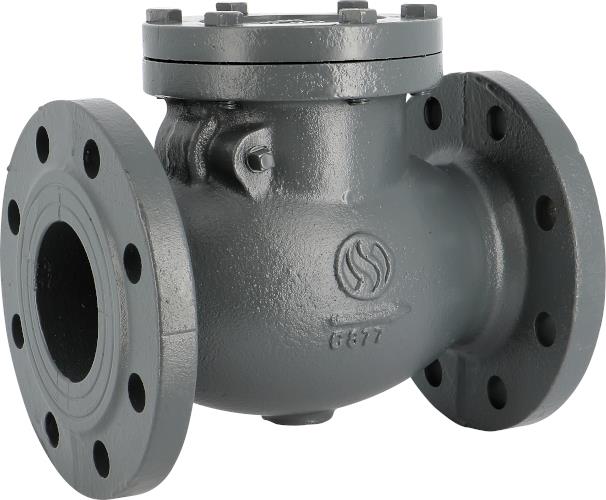 Check valve - GG25 Cast Iron body - EPDM - DN65 - Flanges GN10/16 - PN16 - Hor/ver assembly - 80°C